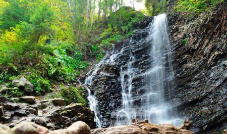 Where and how best to relax in the summer in the Carpathians?