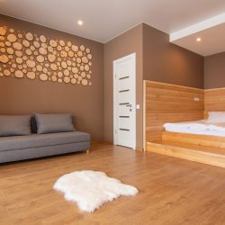 Висококласний номер «Преміум»