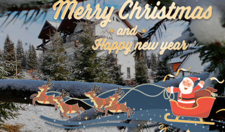 Meet the whole family New Year and Christmas in the Carpathians: what could be better?