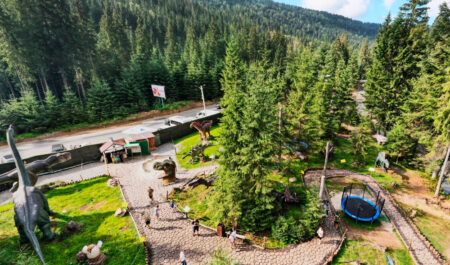 Dinosaur park