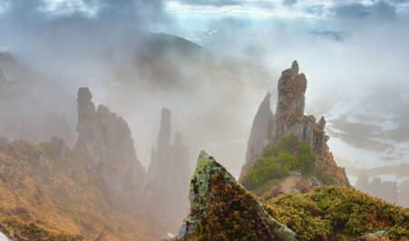 Carpathian national nature park