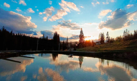 Trout fishing