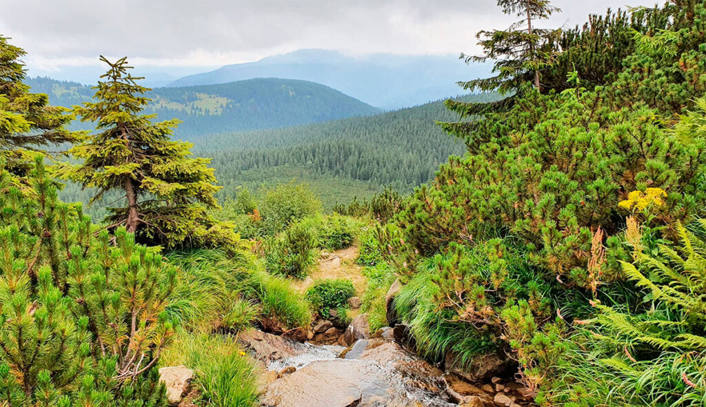 Прутський (Говерлянський) водоспад найбільший в Україні