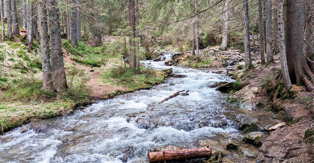 Прутський (Говерлянський) водоспад найбільший в Україні