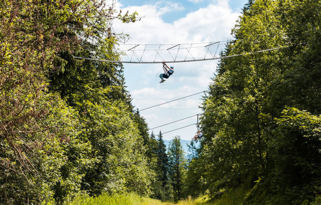 roller coaster zipline буковель