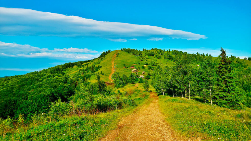 Гора Маковиця (Яремче) легкий маршрут і панорама Карпат