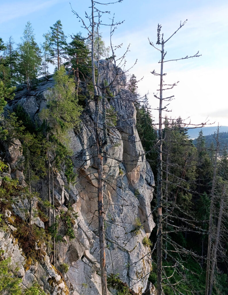 Гора (скеля) Костел Микуличин