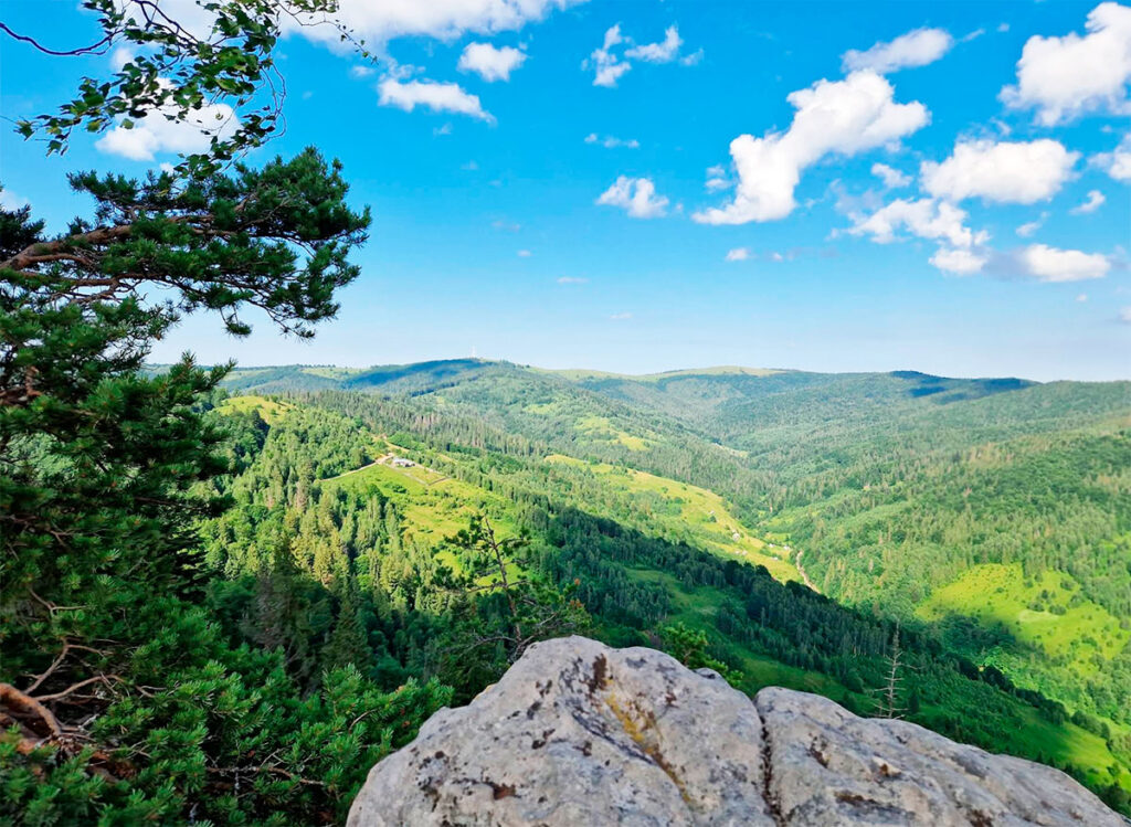 Гора (скеля) Костел Микуличин