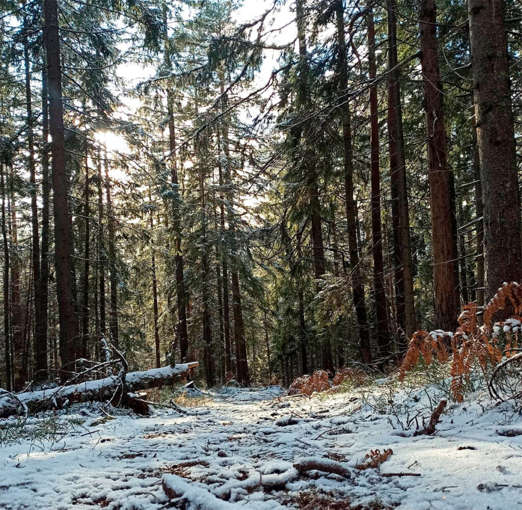 Гора (скеля) Костел Микуличин