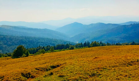 Гора Рокита Велика