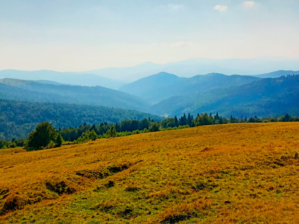 Гора Рокита Велика