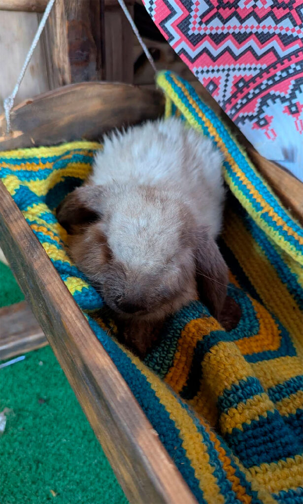 Музей Феєрія карпатського духу Ворохта