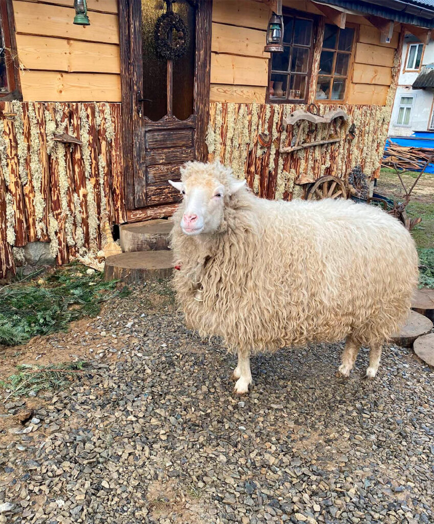 Музей Феєрія карпатського духу Ворохта