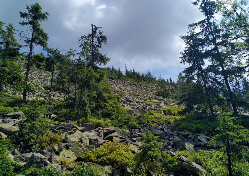 Гора Малий Горган