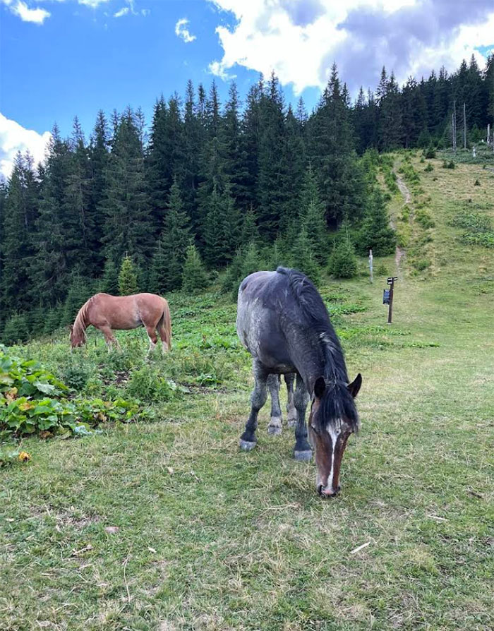 Гора Малий Горган