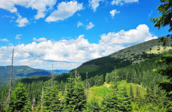 Гора Бабин Погар