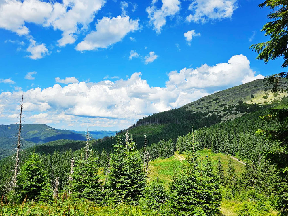 Гора Бабин Погар