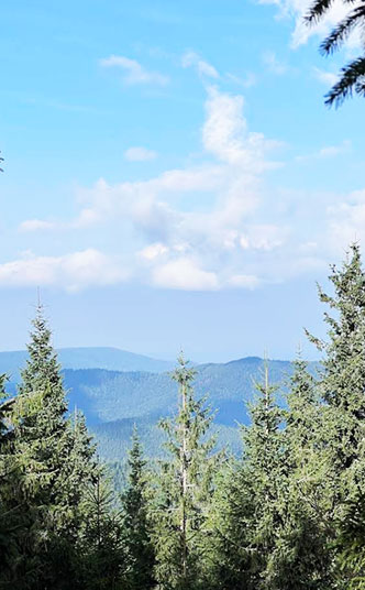 Гора Бабин Погар