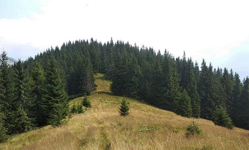 Гора Бабин Погар