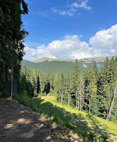 Гора Бабин Погар