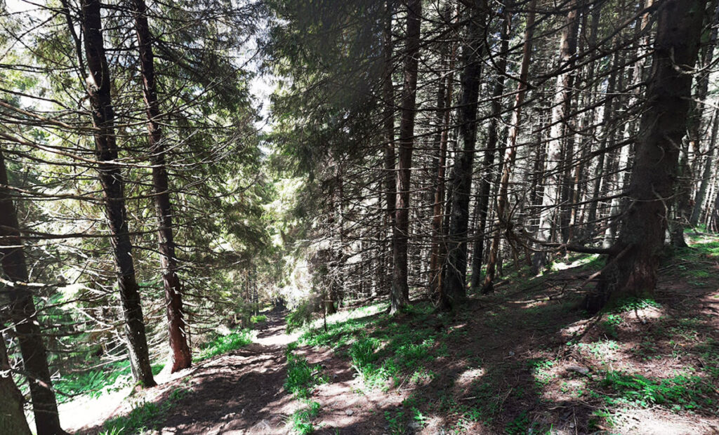 Гора Бабин Погар