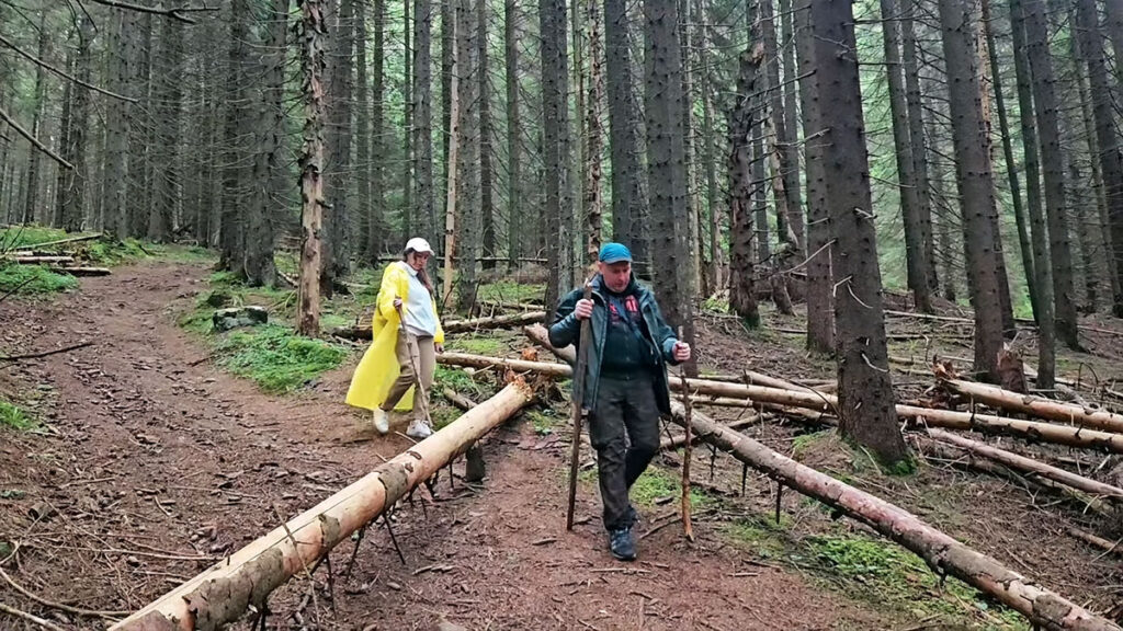 Гора Бабин Погар