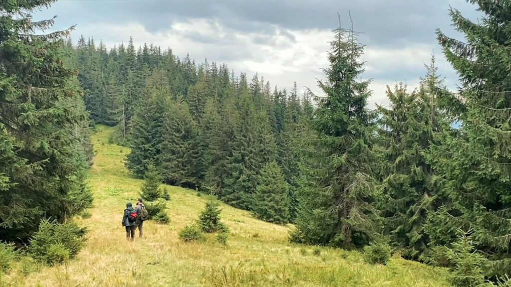 Гора Бабин Погар