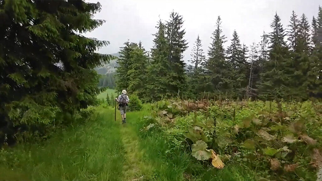 Гора Бабин Погар