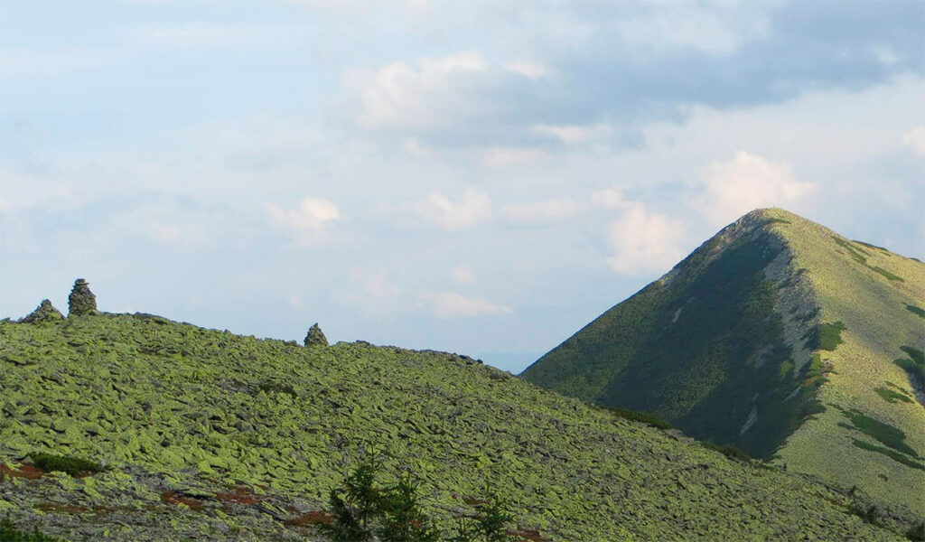 Гора Довбушанка 1754 м