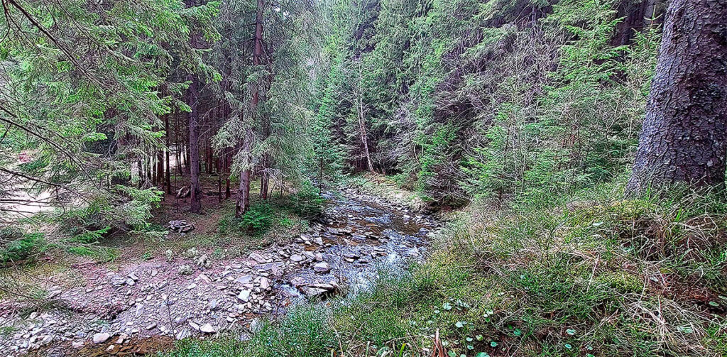 Гора Довбушанка 1754 м