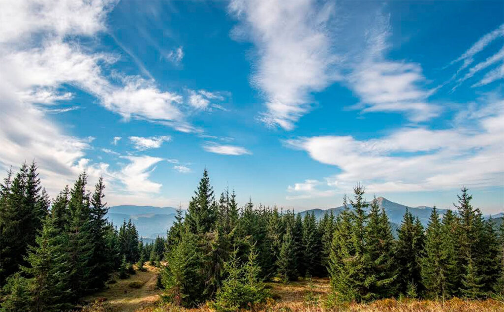 Гора Довбушанка 1754 м