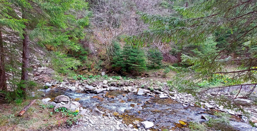 Гора Довбушанка 1754 м