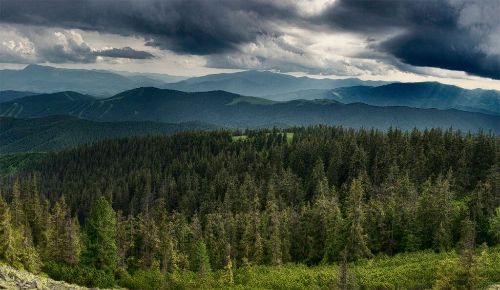 Гора Довбушанка 1754 м