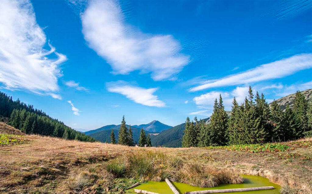 Гора Довбушанка 1754 м