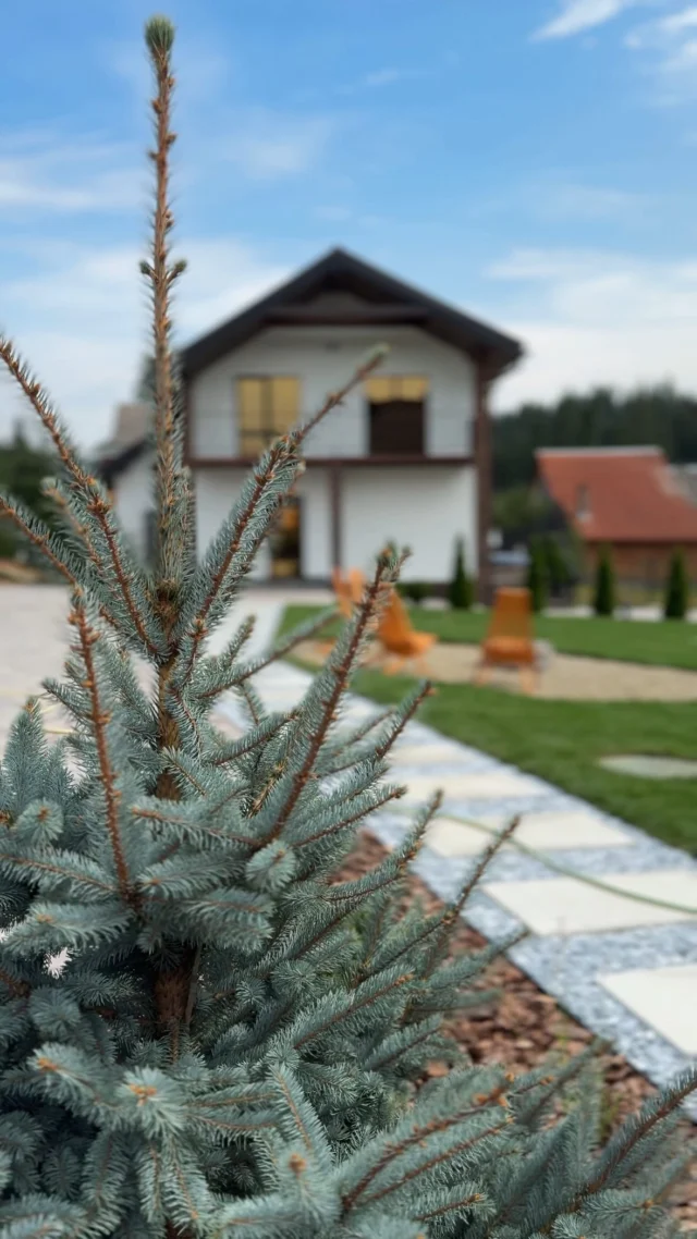 Надсилай людині, з якою хотіла б поїхати у відпустку в Карпатах 💌